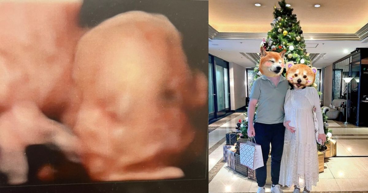 曾啟瑞醫師｜台法夫妻跨越 9800 公里的求子旅程