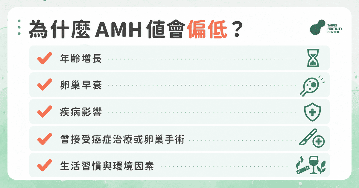AMH 數值偏低的 6 大原因