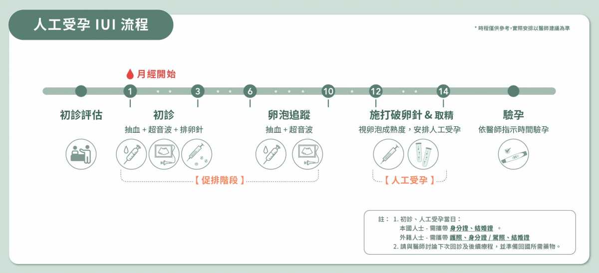 人工受孕 IUI 流程圖