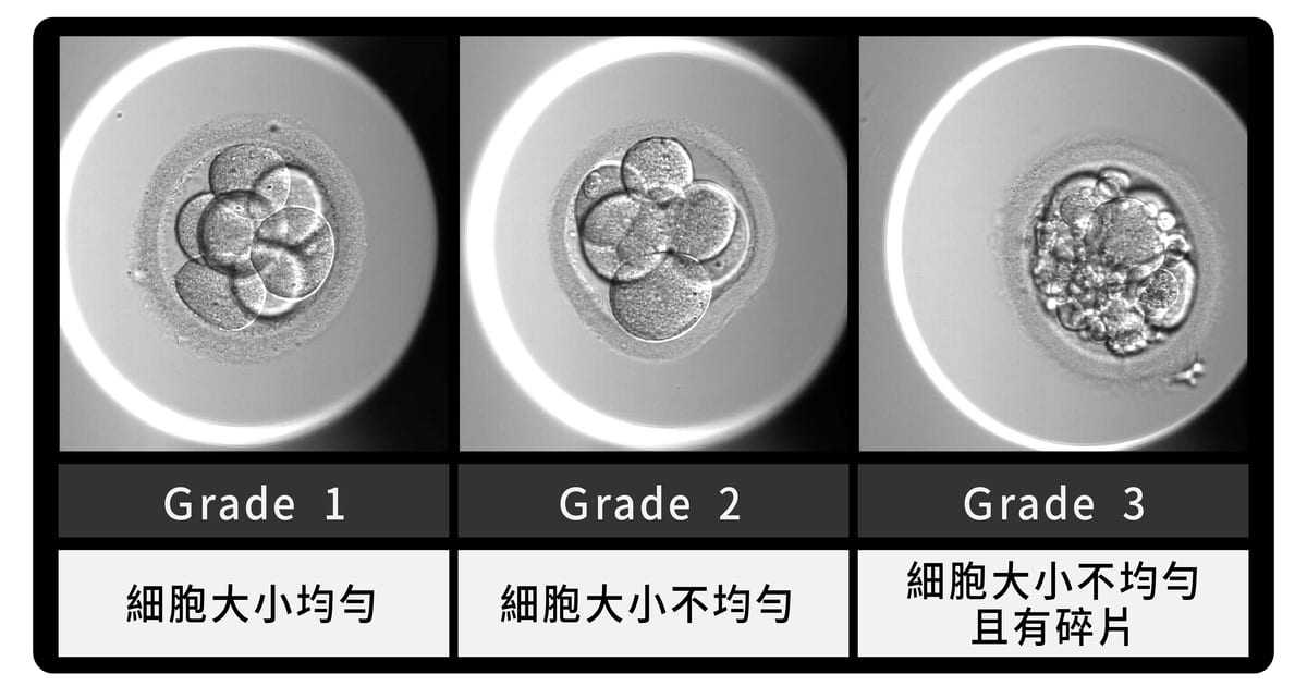 D3胚胎等級一覽圖