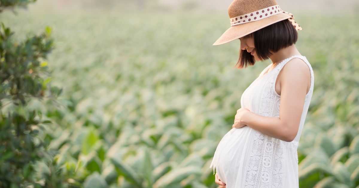 一、卵子の質を理解することの重要性