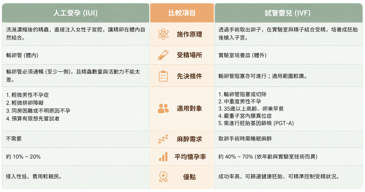試管嬰兒適合哪些族群?人工受孕試管嬰兒差別有哪些?