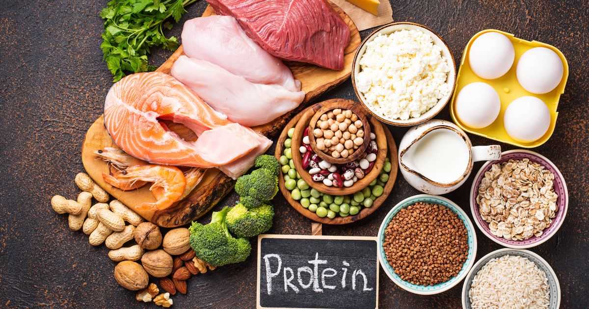 適量的醣類和優質蛋白質有助於提供能量和維持肌肉量