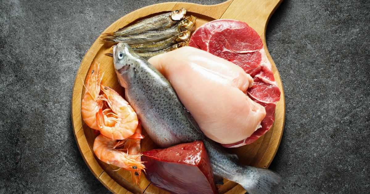 How Should I Eat After Embryo Transfer?