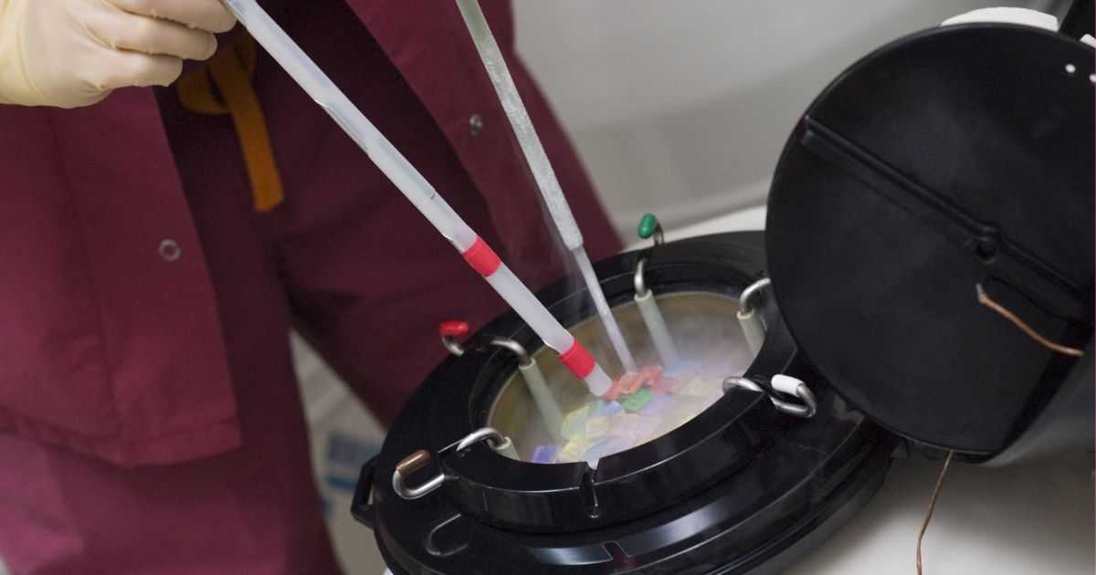 Egg retrieval and vitrification (freezing)