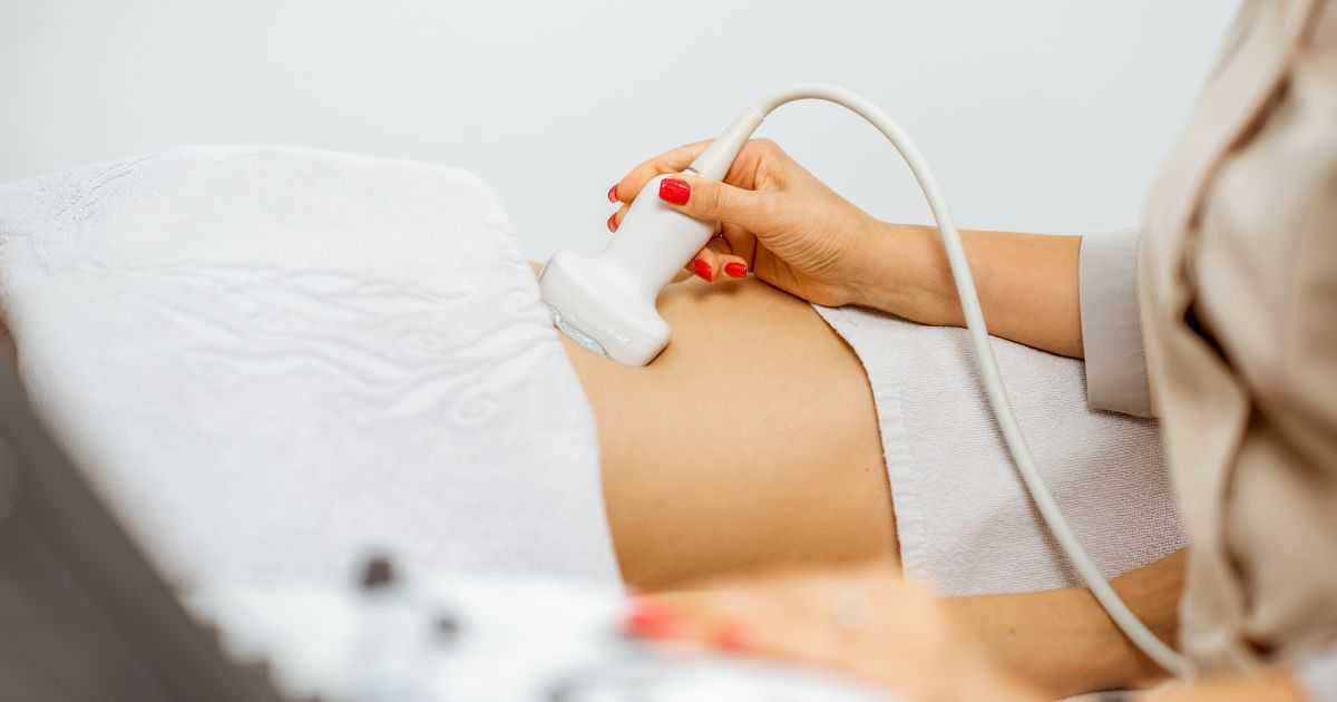 卵子凍結の流れ：プロセスを解説し、各ステップを確実に理解しよう
