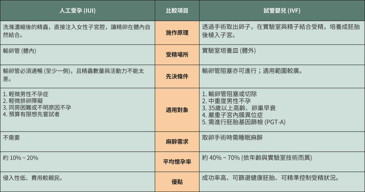 試管嬰兒適合哪些族群？人工受孕試管嬰兒差別有哪些？
